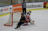 Wings-Hedemora 22012-01-29 775