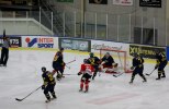 Wings-Hudikvall 2012-02-01 029
