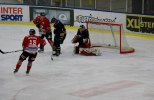 Wings-Hudikvall 2012-02-01 039