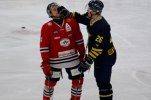 Wings-Hudikvall 2012-02-01 250