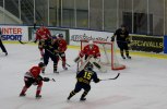 Wings-Hudikvall 2012-02-01 328