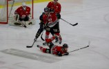 Wings-Hudikvall 2012-02-01 450