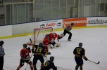 Wings-Hudikvall 2012-02-01 605