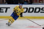 SWE-TJE 019