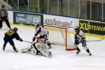 wings-visby 2011-11-13 335