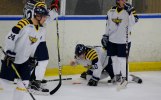 järfälla- Wings 2011-11-20 174