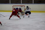 järfälla- Wings 2011-11-20 332