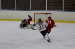 järfälla- Wings 2011-11-20 393