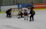 Wings-Huddinge 2011-12-11 612