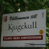 Kjugekull