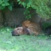 IMG_6297