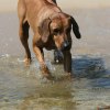 IMG_5871