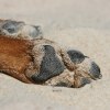 IMG_5966