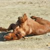 Grustagetfeb09 088