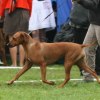 Augusti 2011