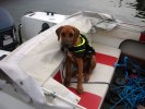 Boat guy!