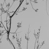 100_OrtolansparvSV