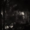 176_TalgoxeSVtonad