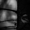 185_TalltitaSV