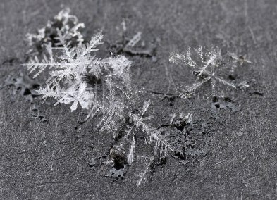Snöflingor