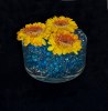 Blommor i gelekulor