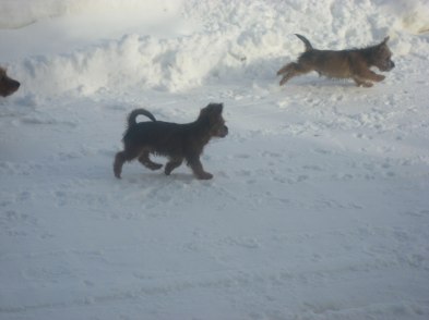 Ute i snön.