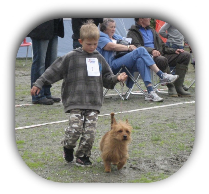 Barn med Hund, 4 anmälda, Viggo 1:a med Xtra.