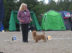 Rovaniemi 2011