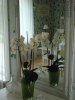 sommar 2010 098