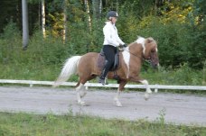 Hilmir-Snaer