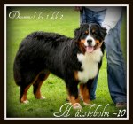 Drummel "Charlie"