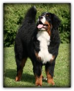 Pajazz 8 months