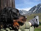 Fjällvandring