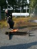 Bengt_Brand