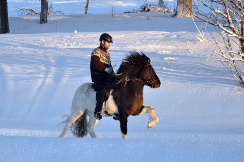 Baltasar januari -12