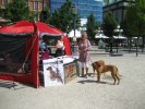 sthlmhunddag3