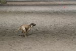 20101114_IMG_7625