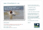 Dinavykort-SRRS