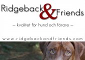 Ridgeback-and-friends_A5 annons 300ppi