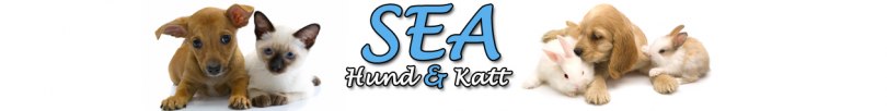 sea-SHK