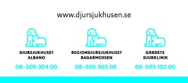 Sthlm-regionsjukhus_sponsorbannerhogupplost