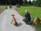 promenad1