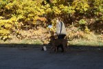 IMG_3136