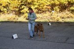 IMG_3139