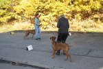 IMG_3140