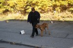 IMG_3147
