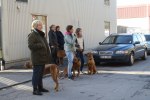IMG_3197