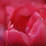 CSC_3512