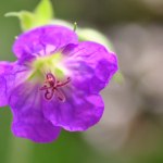 CSC_6274