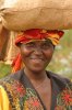 RwandaGorillas_ARivest02